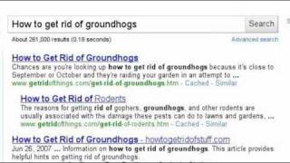 preview picture of video 'Groundhog Removal'