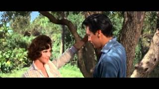 i wouldnt tell you no lie