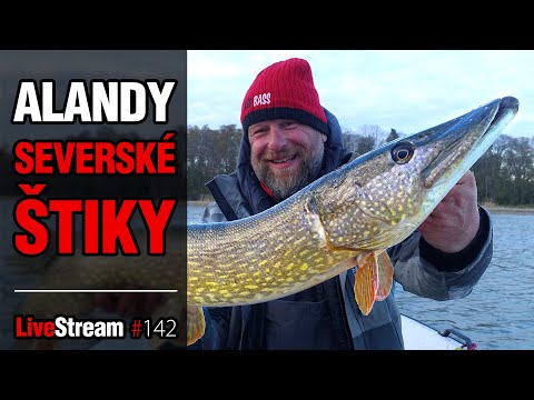Extrémní lov štik na souostroví Alandy! 🐟 | Přívlač Live #142