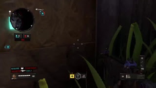 bo4なんとなく配信