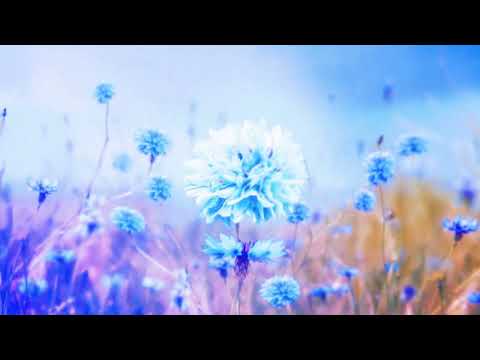 CloudNone, Direct, Mr FijiWiji - bayb33 [bayb33 EP]