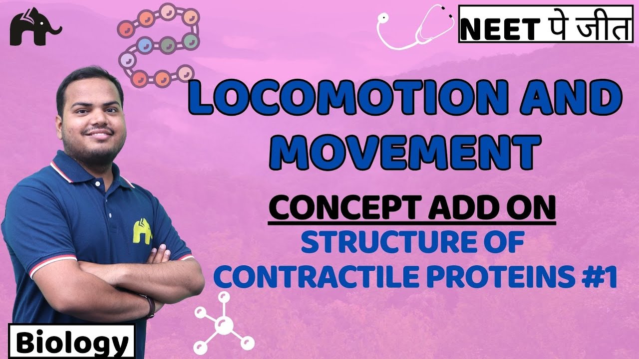 Locomotion & Movement Class 11 Biology NEET | NCERT Chapter 17 Structure of Contractile Proteins #1