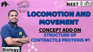 Locomotion & Movement Class 11 Biology NEET | NCERT Chapter 17 Structure of Contractile Proteins #1
