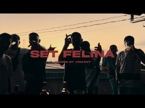 SET FELINA - MC's Nick NC, Lukinha ST, Kranio, Leandrinho, Lukinha Original (PROD. ViNZ)