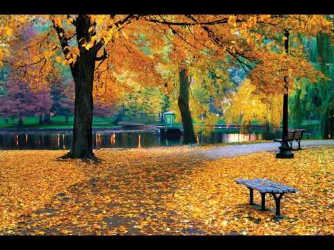 Frederik Ndoci - Kur gjethet bien në vjeshtë