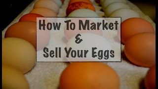 How To Market & Sell Your Eggs
