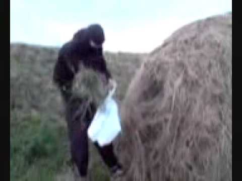 Ważka G feat. Bizon - Życie ostre jak maczeta