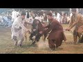 Ghora Dance Ustad Tanveer Haider Bharwana at Mela 18 Hazari