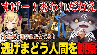 【にじ鯖夏祭り】船が燃えて逃げまどってる人間を上から観察し、憐れむでびリオン【でびでび・でびる  鷹宮リオン にじさんじ】