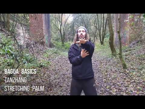 Bagua Basics - Tanzhang