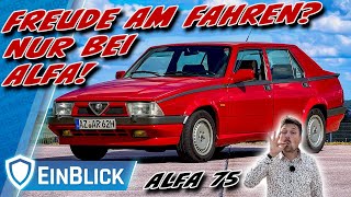 NICHT FAHREN (sonst willst du einen)! Alfa Romeo 75 2.0 TS (1989) - Wirklich so besonders?