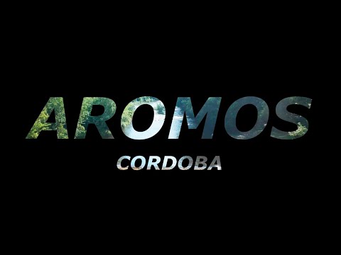 Villa los Aromos - CORDOBA | VUELO CON DRONE DJI SPARK