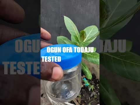 OGUN OFA TODAJU TESTED AND CONFIRM