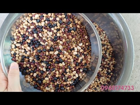 Địa chỉ xay gia công ngũ cốc5 loại đậu uy tín tphcm