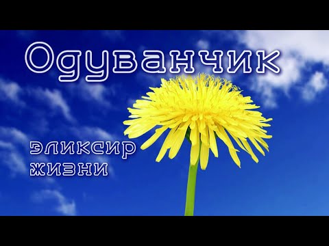 Антелистез позвоночника консервативное лечение Мрт грудного отдела в чите
