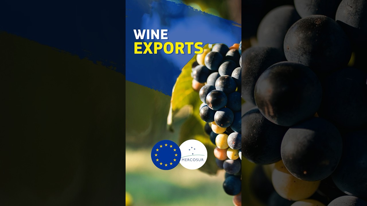 How EU Free Trade Helps Small Winegrowers Reach the World