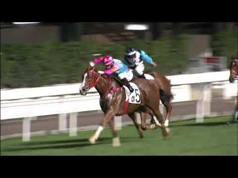 5/5/2021 (651) Handsome Bo Bo -  A Badel