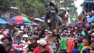 Download lagu Puluhan Hewan Raksasa Datangi Desa Gegesik mp3 Download lagu Puluhan Hewan Raksasa Datangi Desa Gegesik mp3