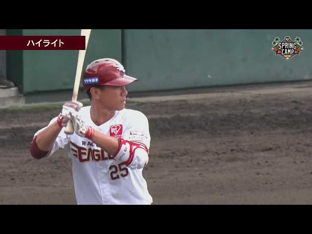 2月15日 イーグルス対タイガース ハイライト