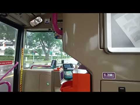 Service 99 SBS8161S ft CNG ambassador Melody ZF KUB 🔥🔥🔥