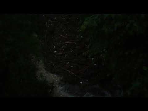 28 maggio 2019 Arrivo della piena del torrente Mezzane a San Pietro