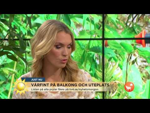 Så fixar du en riktigt vårfin uteplats med de senaste trenderna! - Nyhetsmorgon (TV4)