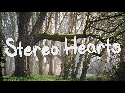 Stereo Hearts - Gym Class Heroes (Lyrics) ft. Adam Levine, One Direction, Ruth B.,...