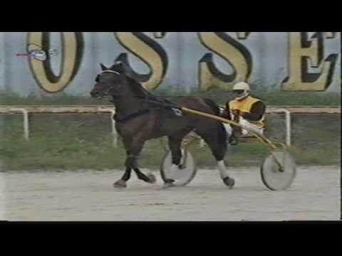 CROWN DAVID1:17,9 -Pehar hipodroma Beograd 2200m- Beograd 1995