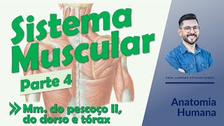 Sistema Muscular - Aula 04 - Músculos do pescoço II, músculos do dorso e do tórax - Anatomia Humana