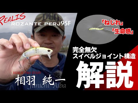 DUO Rozante Perj 95F 9.5cm 14g CCC3373 Iris Back Shad F