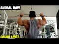 Animal Raw | Shawn Smith Back
