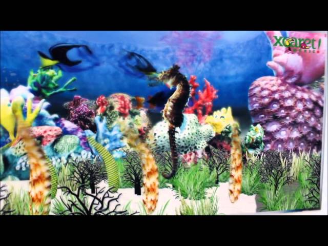 Vídeo relacionado con 3D LiveLife Lenticular Cuadros Decoración - Vaca escocesa de Deluxebase. Poster 3D sin marco de vacas. Obra de arte original con licencia del reconocido artista, David Penfound