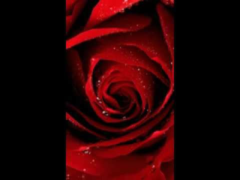 Samrawit Weldu- Manta Seb New Tigrinya song 2010