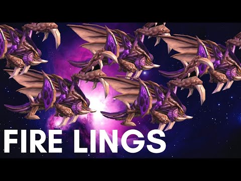 BONUS DAMAGE ZERGLINGS INFLICT LASTING TRAUMA - Zagara Weekly Brawl [Starcraft 2 Direct Strike]