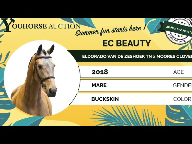 EC Beauty showvideo