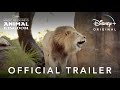 Magic Of Disney S Animal Kingdom Official Trailer Disney