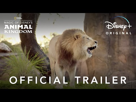 ▷ Disney Magic of Disney's Animal Kingdom | Official Trailer | Disney+ ad ▷ Disney Magic of Disney's Animal Kingdom | Official Trailer | Disney+ ad