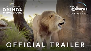 Magic of Disney’s Animal Kingdom  Official Trail