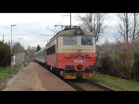 Plecháč 242.230 - R 665 ,,Rožmberk" - Jihlava-Staré Hory - 17.4.2019