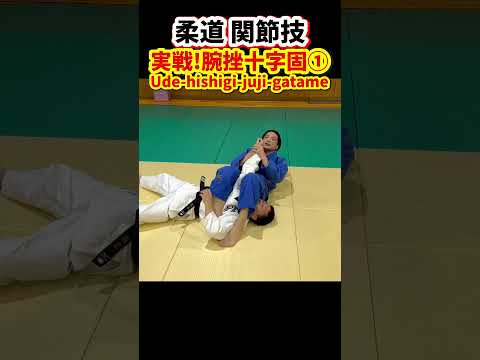 【オリンピック金メダリストの得意技①】カメから腕ひしぎ十字固を極める方法　#柔道 #judo #寝技 #関節技 #腕挫十字固 #腕ひしぎ十字固 #十字固 #shorts