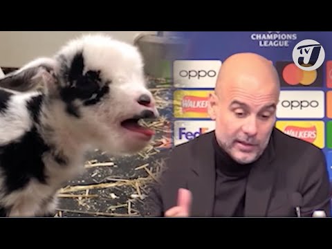 Pep Guardiola 'The untouchable GOAT' TVJ Sports Commentary