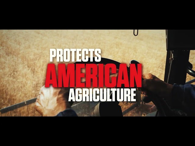 Protecting America Initiative Building America S Future