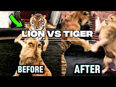 OFFICIAL - LTC™ and OFFICIAL LTC INC.