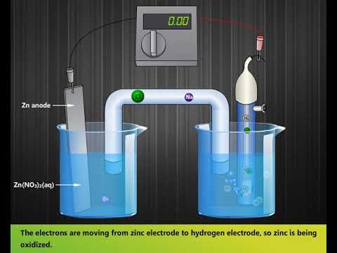 Standard Hydrogen Electrode | Construction & Working | #LearnEngg #chemistry