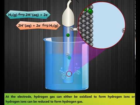 Standard hydrogen electrode