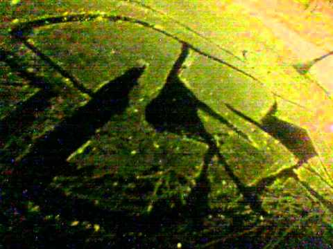 Hudy, Baryl, Specu - Nie zrozumiesz tego