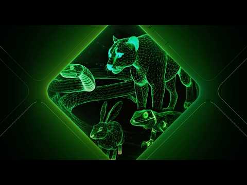 2025 DNS Threat Landscape Report Video