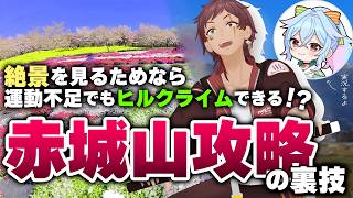 桜が見たすぎて体重＋25kgのVTuberが頑張った結果