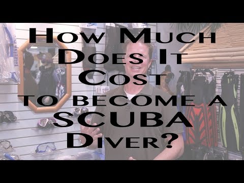 download lagu mp3 mp4 Scuba Course Cost, download lagu Scuba Course Cost gratis, unduh video klip Scuba Course Cost