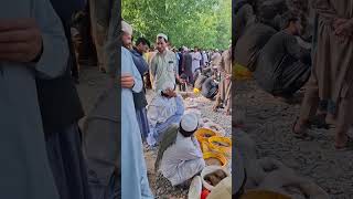 Download lagu This is Called Terah C H A R S Mandi #shorts mp3 Download lagu This is Called Terah C H A R S Mandi #shorts mp3